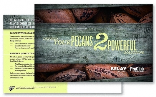 Belay Progibb Postcard | Flickr - Photo Sharing! #post #card #design #advertising #art #type #layout #agriculture #typography