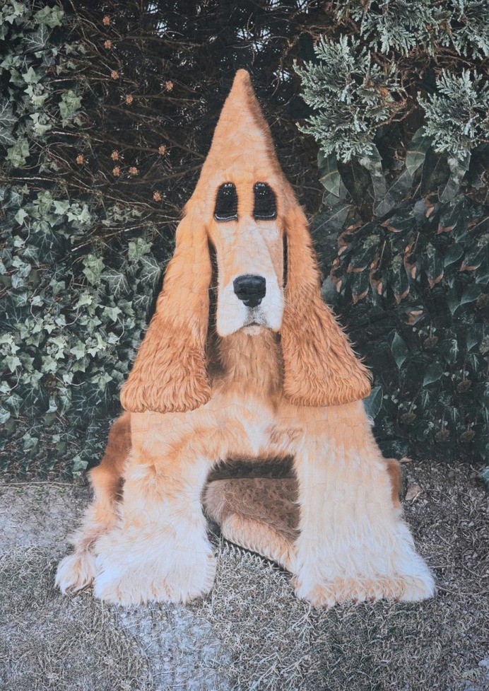 Cats and Dogs III