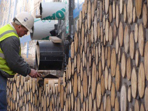 arcus-constructing-the-wall.jpg (296×222)