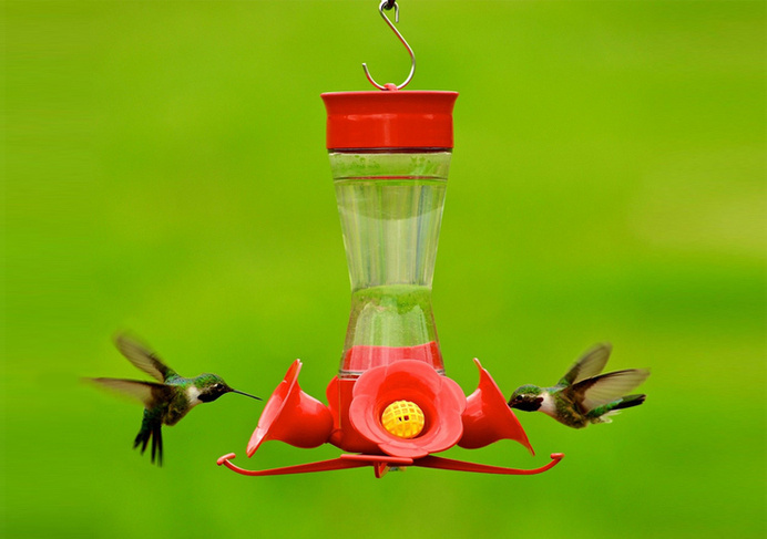 This hummingbird feeder is easy to use, strong, and will get those elusive hummingbirds flapping around your yard. #modern #lifestyle #design #product #industrial