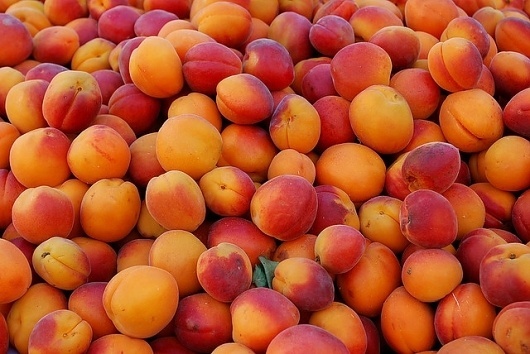 3757546669_edd106fb55_z.jpg 640×428 pixels #peaches
