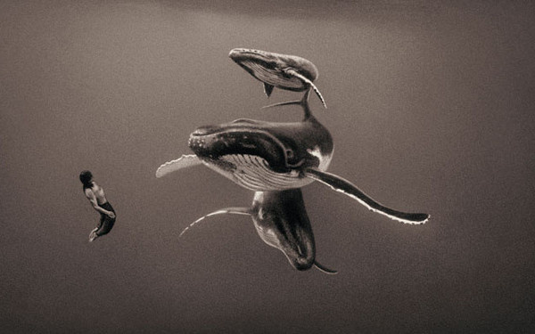 Ashes and Snow by Gregory Colbert #inspiration #photography #animal