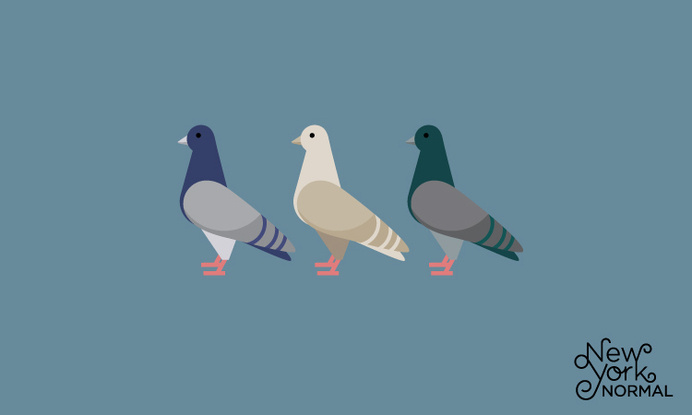 New York Normal #icon #dove #picto #symbol #minimal
