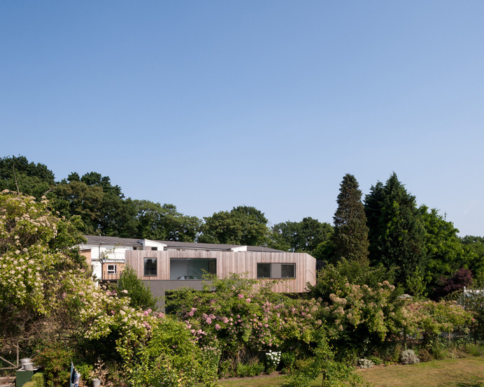 Irregularly-Shaped Wedge House Maximizing Views in Surrey, England #architecture