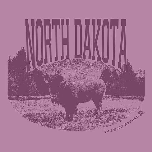 Illustration for t-shirt #tshirt #layout #illustration #buffalo #animal #North Dakota #vintage