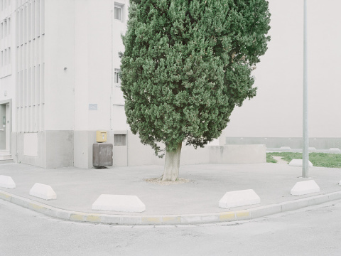 Benjamin Schmuck | PICDIT #photo #photos #photography