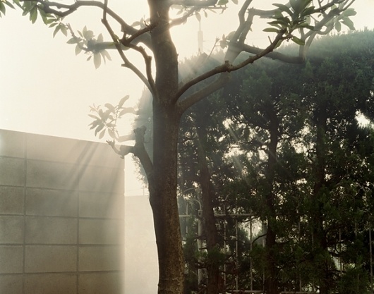 Cold Rockin #light #architecture #tree