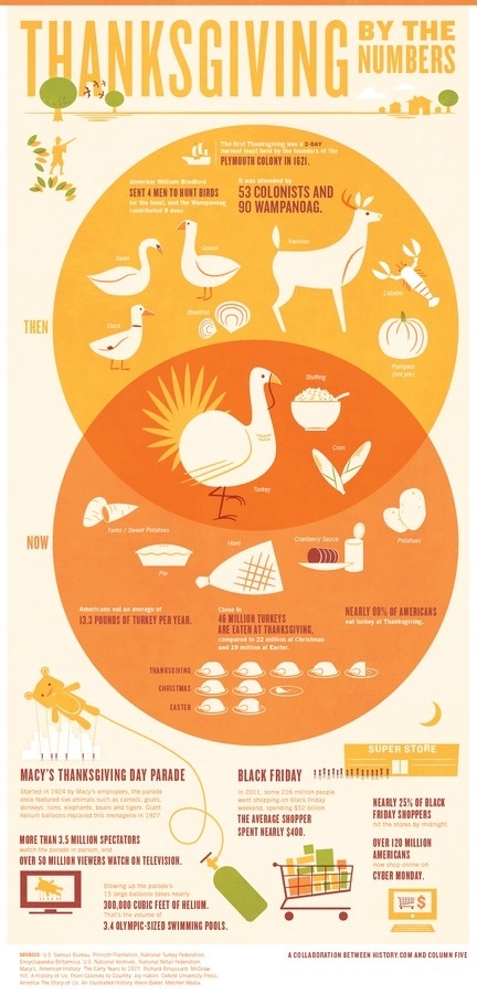 Thanksgiving by the Numbers Infographic #infographic #thanksgiving #holiday #history