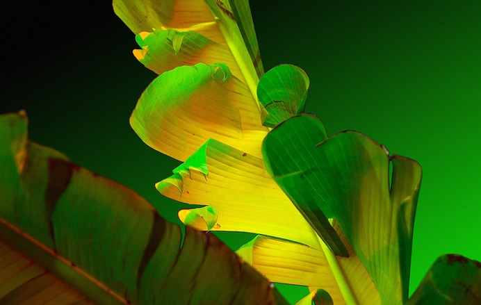 Nuclear Garden Photo-series - Mindsparkle Mag Beautiful photography set entitled Nuclear Series by Local Preacher, in Russia. #design #color #photography #graphic #design #gallery #blog #project #mindsparkle #mag #beautiful #portfolio #designer