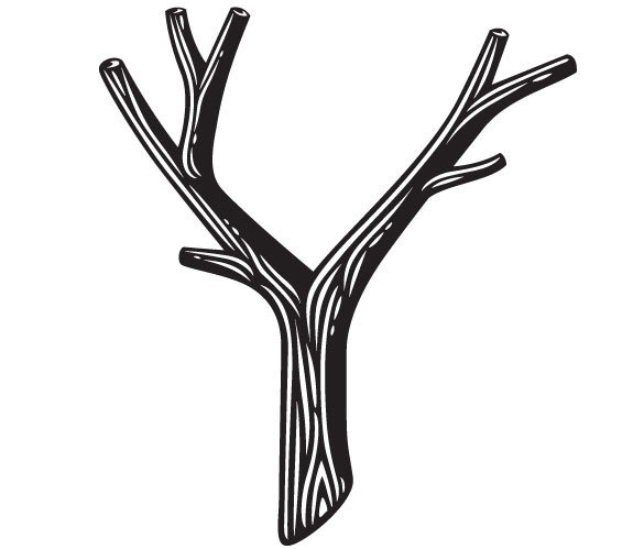 Alphabet 4: Y | Daily Drop Cap #letter #typo