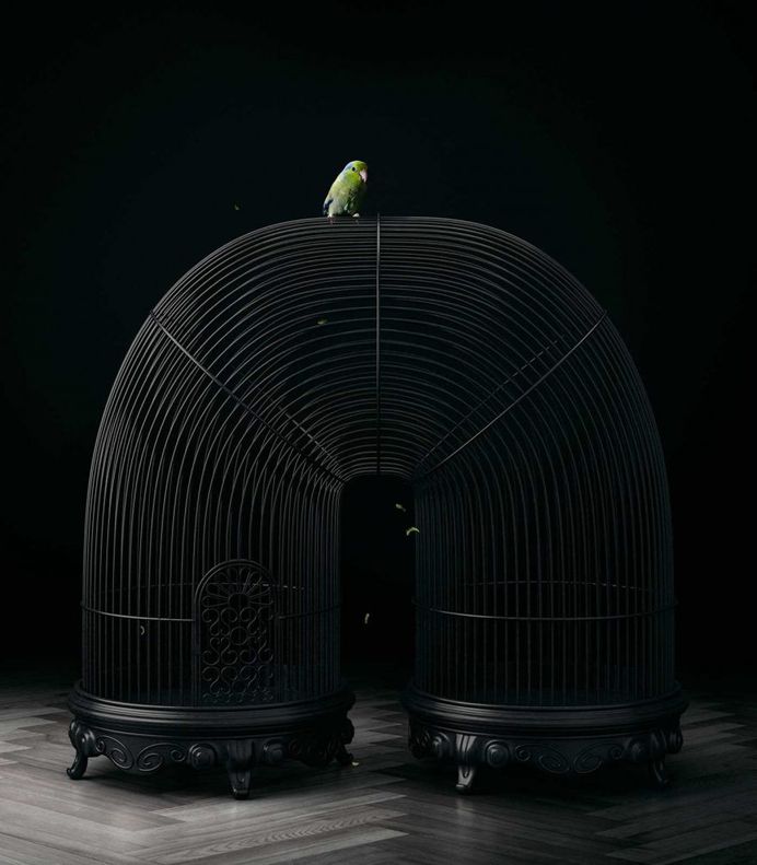 Free Bird: Creative Photo Manipulations by Mike Campau