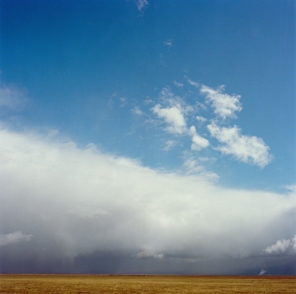 Andrew Paynter | PICDIT #photo