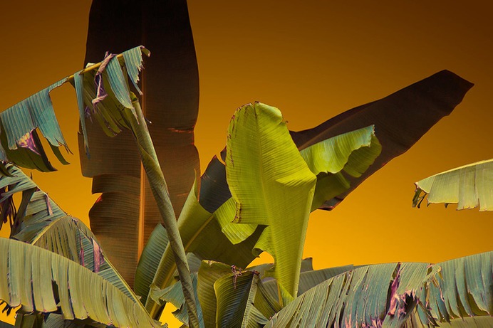 Nuclear Garden Photo-series - Mindsparkle Mag Beautiful photography set entitled Nuclear Series by Local Preacher, in Russia. #design #color #photography #graphic #design #gallery #blog #project #mindsparkle #mag #beautiful #portfolio #designer