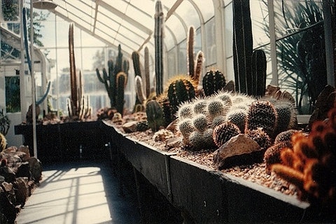 FFFFOUND! #greenhouse