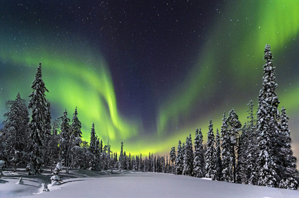 Photo of the Day #inspration #photography #art
