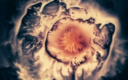 Micro type #colors #fluid