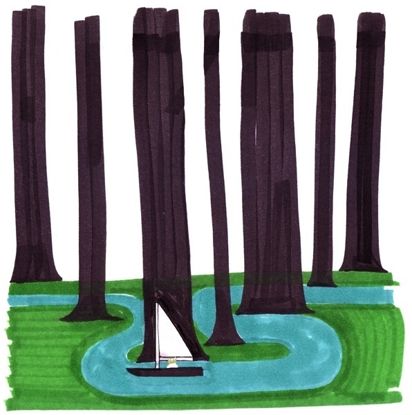 Champion Graphics #magicmarker