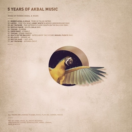 5 Years of Akbal Music on the Behance Network #tropical #butterfly #music #collage #parrot