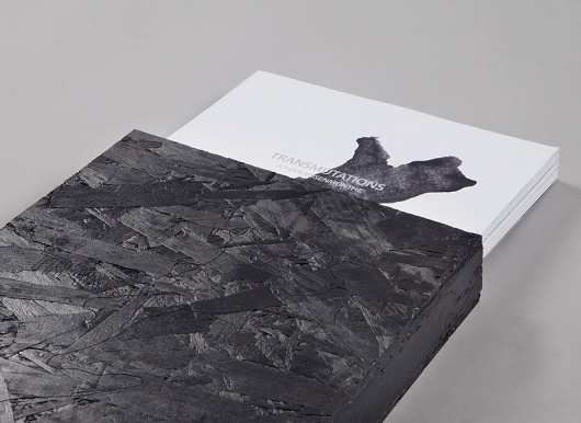 Transmutations / 2011 : Johan Rosenmunthe #rosenmunthe #johan #editorial