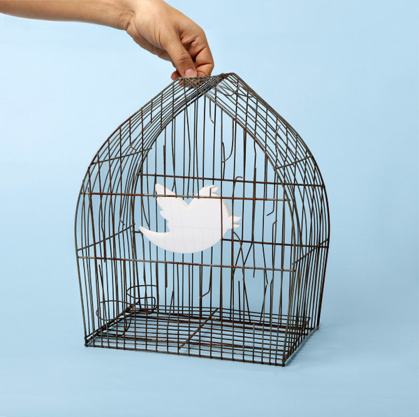 twitter #tactile #photo #twitter #photography