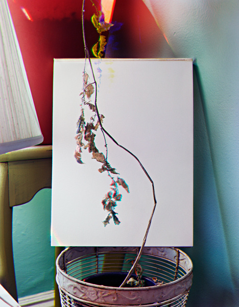 Katharine Shields | PICDIT #photo