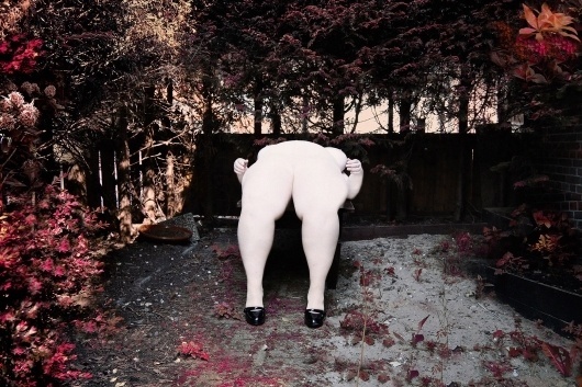 Kooiker Paul Sunday 2011.jpg 1620×1080 pixels #woman #nude #photo #kooiker #sunday #photography #garden #paul