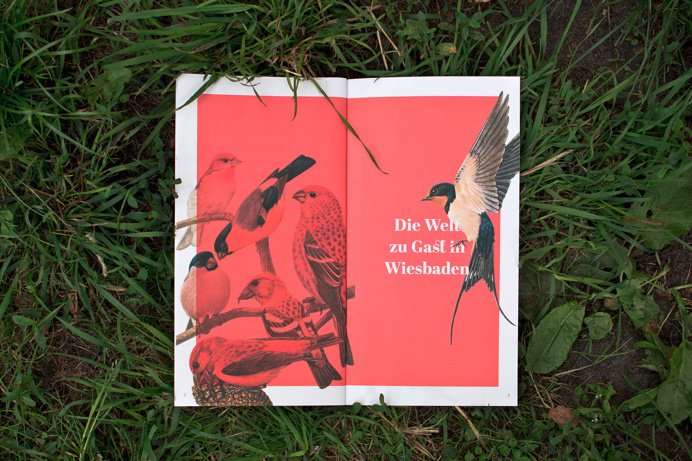 #mayfest #theatre #opera #editorial #typo #collage #bird #frame #birds