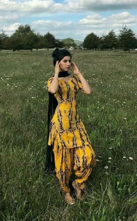 Beautiful Punjabi Suits - Happy Shappy