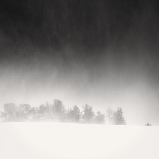 3.04, photography by Sylwia Steginska #forest