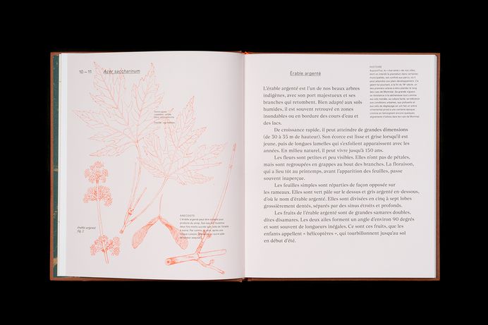 Un herbier de Montréal on Behance
