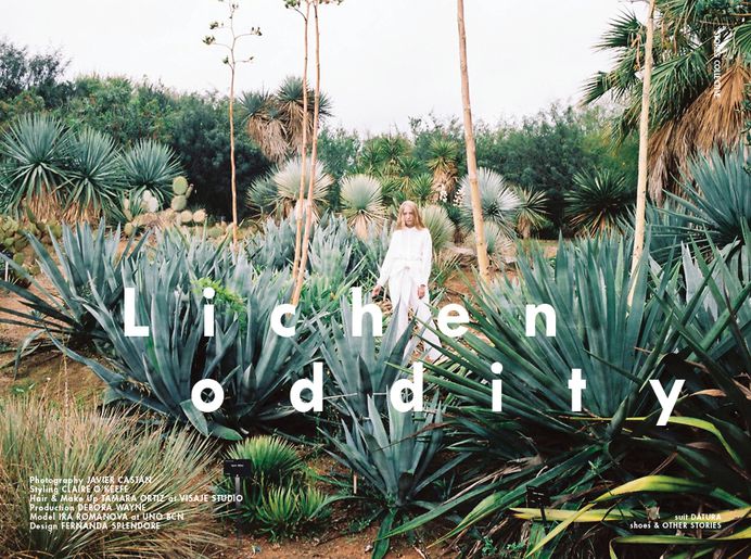 Stories Collective - The Plantae Issue / Lichen Oddity