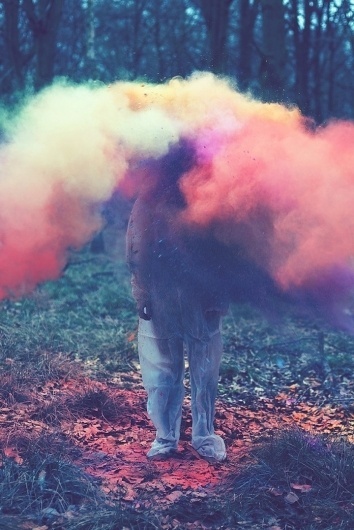 louis_05.jpg (Image JPEG, 720x1076 pixels) #forest #photography #colors