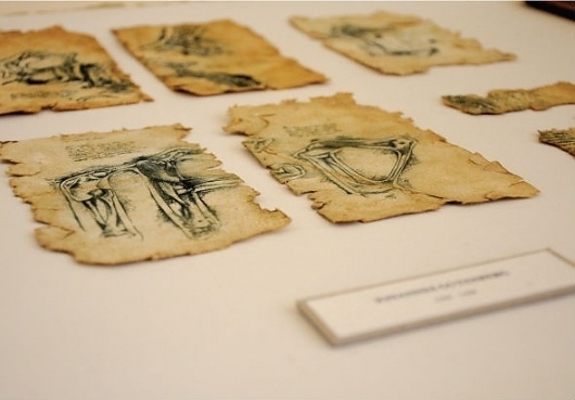 anatomy of type exhibition #of #design #graphic #anatomy #type #drawing #typography