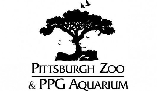 35 Clever Logo designs and hidden messages - Find it now #illusion #tree #negative #lion #zoo #space #gorilla #logo