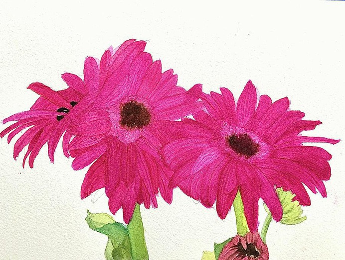 daisy painting & daisy paint by number #painting