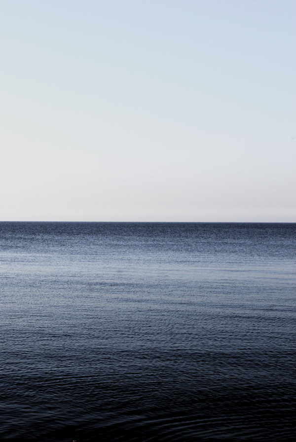 Niko Elvan | PICDIT