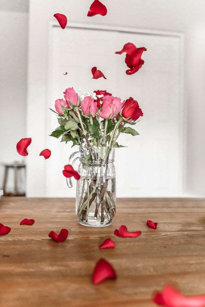 Pegboard, petal, pink and green HD photo by Georgia de Lotz (@georgiadelotz) on Unsplash