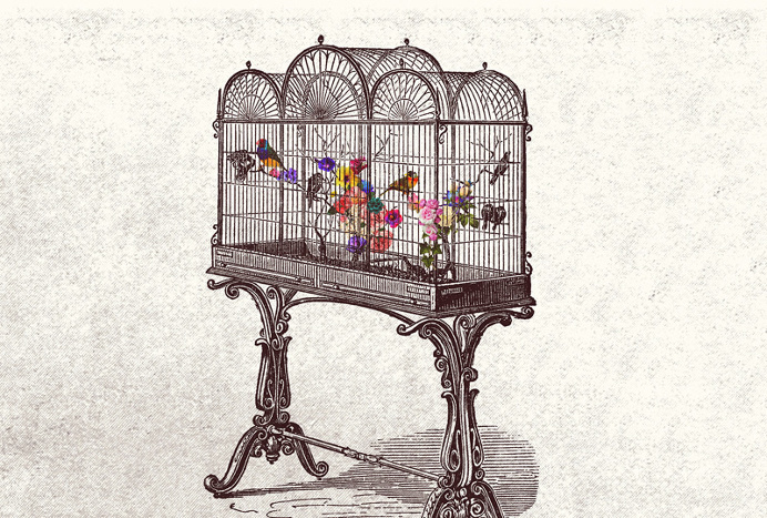 Rebirth - by Quentin Deronzier #artwork #collage #flowers http://quentinderonzier.com/Rebirth
