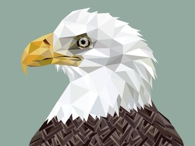 Treagle #eagle #triangles