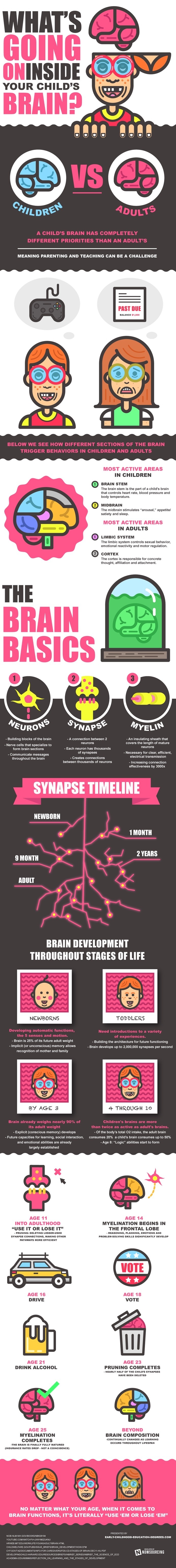 This infographic details the mysteries of human brain development. #development #infographic #childhood #brain