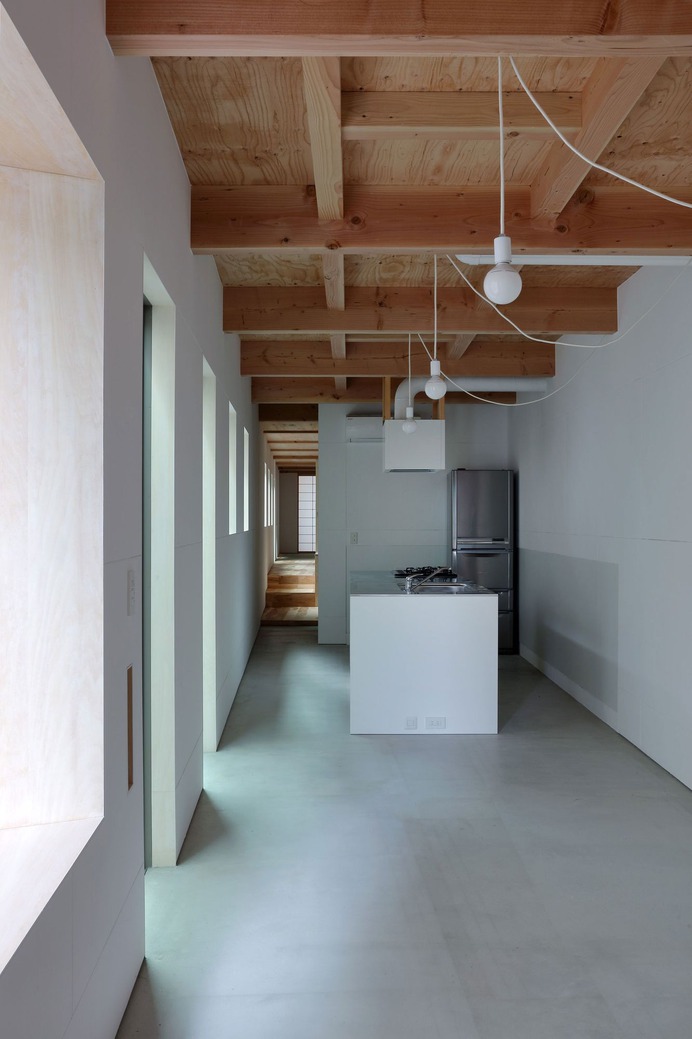 Garden Alley House by Alphaville