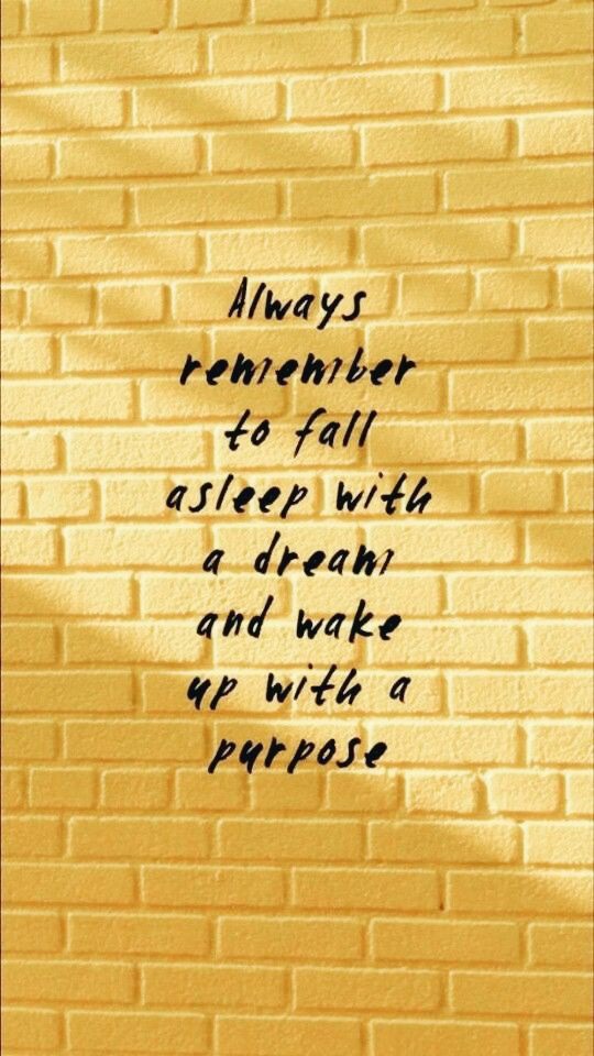 Always remember to fall asleep with a dream and wake up with a purpose.