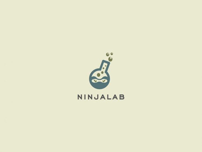 Ninja Lab by Bilal Kadic