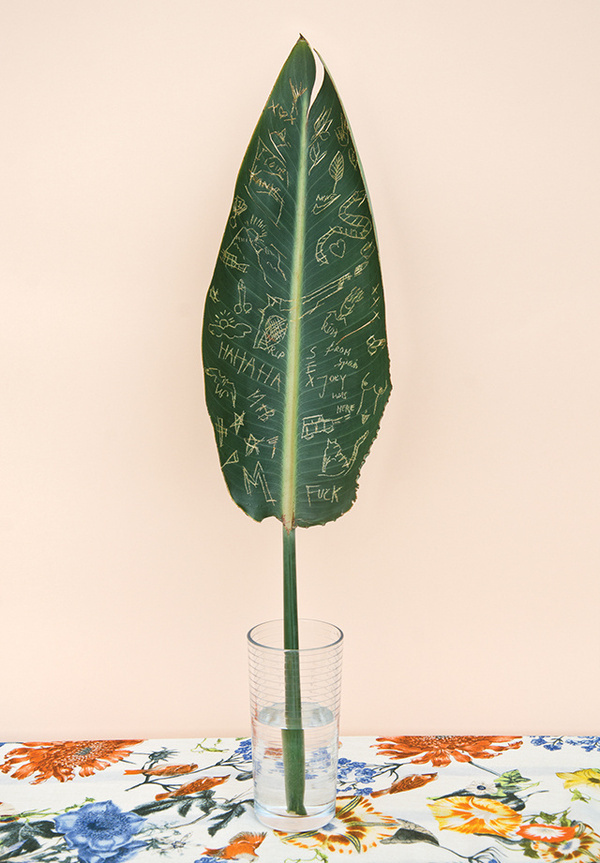 Manic Botanic #photography #graphic