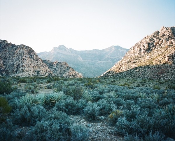RedRock 1 #terry #barentsen #mountains #desert