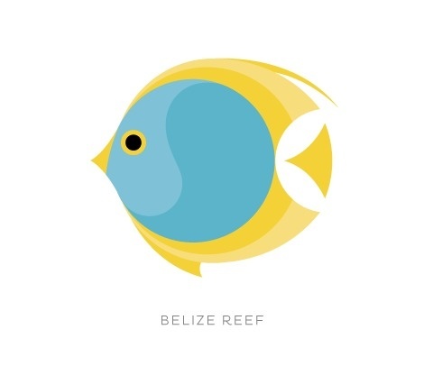 Belize | Studio MPLS #belize #mark #identity #sub #logo