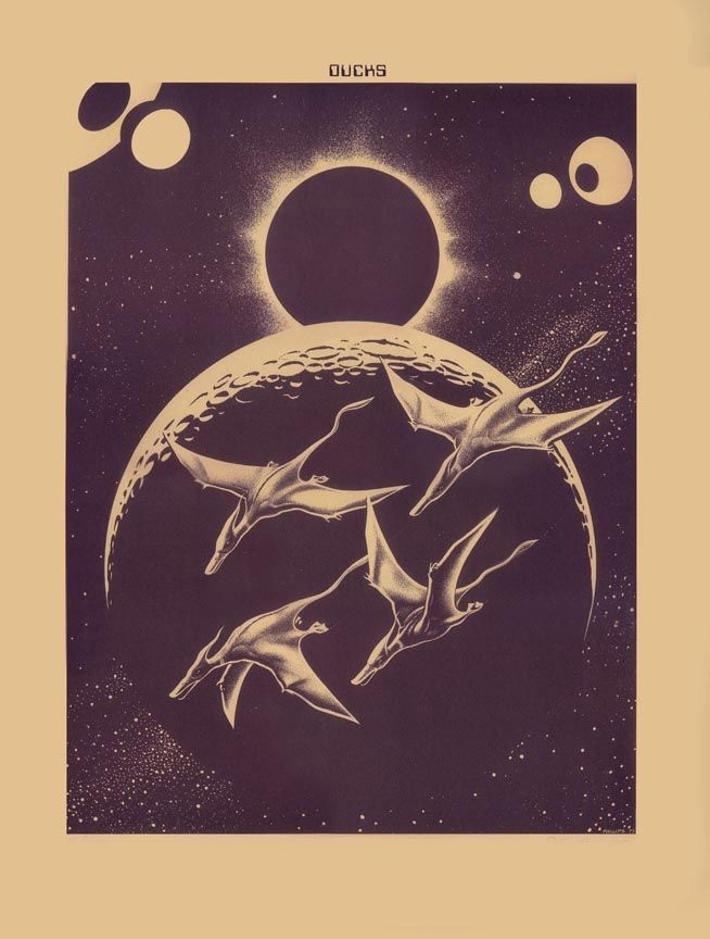 Jimbo Phillips the Ducks + Neil Young poster art (1977) #art #vintage #poster #jimbo