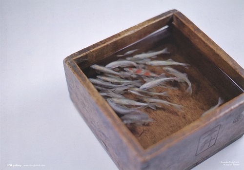 Japanese Artist Paints Breathtakingly Lifelike 3D Goldfish Using Layers Upon Layers OfÂ Resin | RocketNews24 #art