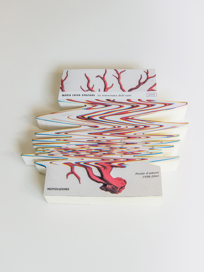 P–DPA log — Cortecce (Barks), Giovanni Ferrario (2009 -... #scanners