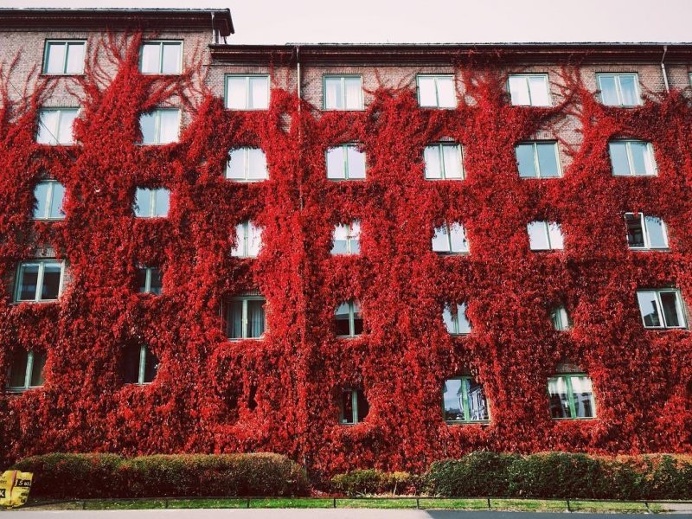 Instagram Spotlight: Mari Strømsbo Gjørv